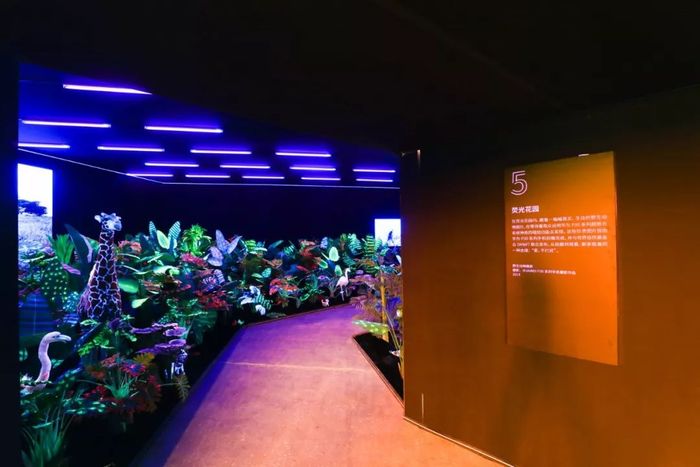 華為手機影像藝術展活動攝影走廊 華為手機影像藝術展活動攝影走廊